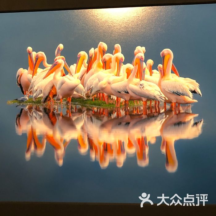 罗红摄影艺术馆