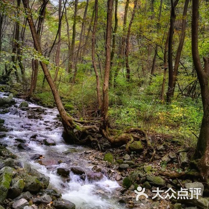 西寺沟旅游风景区景点图片-北京自然风光-大众点评网