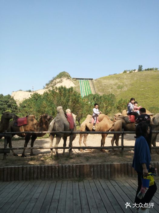 古柏渡飞黄旅游区-图片-荥阳市周边游-大众点评网