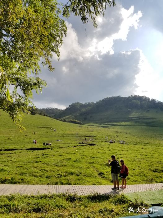 关山草原-景点图片-陇县周边游-大众点评网