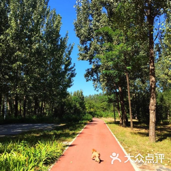 新城滨河森林公园的点评