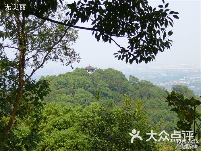 松江区 佘山 景点 自然风光 天马山 所有点评