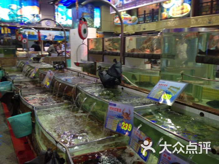 鸿兴艺都海鲜酒家_东海海鲜酒家_鸿星海鲜艺都酒家