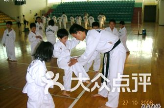 跆拳道排名_跆拳道卡通图片(2)