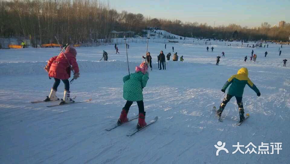 飞天滑雪场-图片-大庆周边游-大众点评网