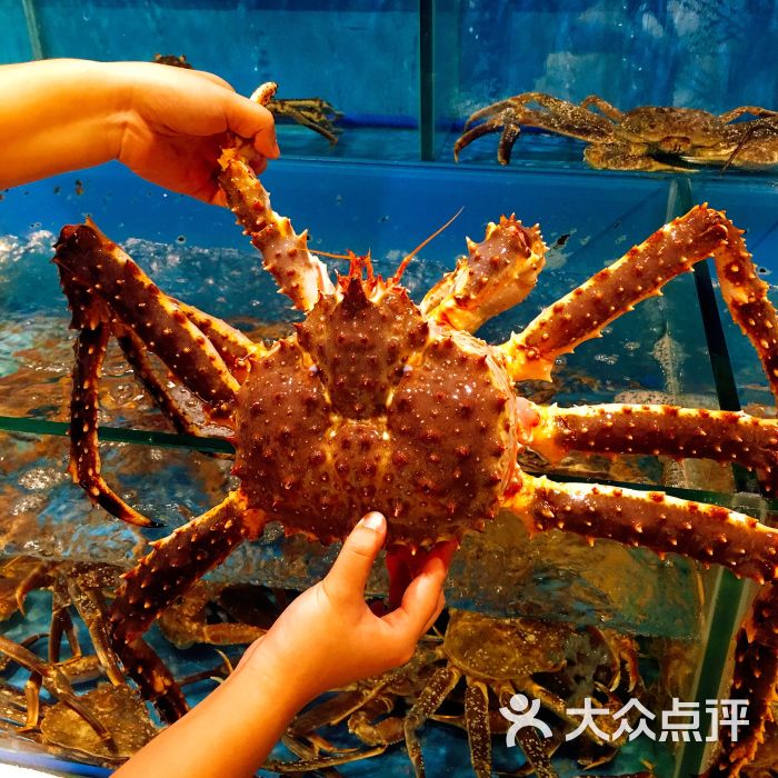 中国活的帝王蟹都是哪里来的 帝王蟹历史