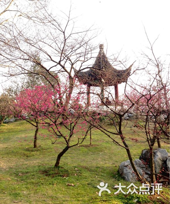 梅花山风景区图片 - 第6张