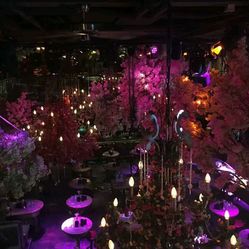 南宁繁花酒吧人均消费_南宁繁花酒吧门头图片