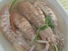 盐水濑尿虾