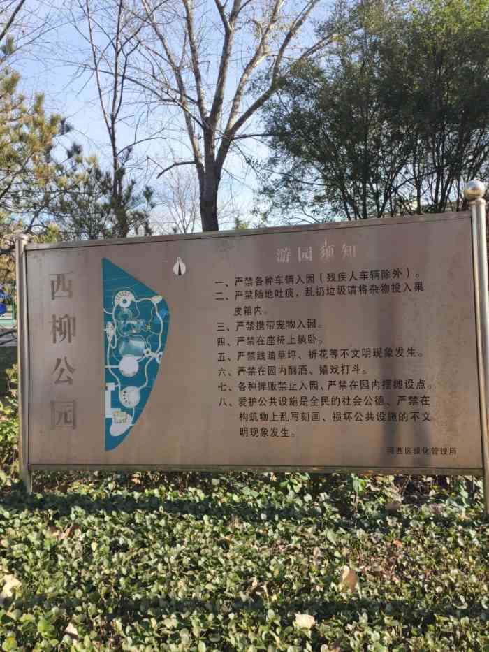 西柳公园-"西柳公园名字是由其坐落于河西区柳林而来