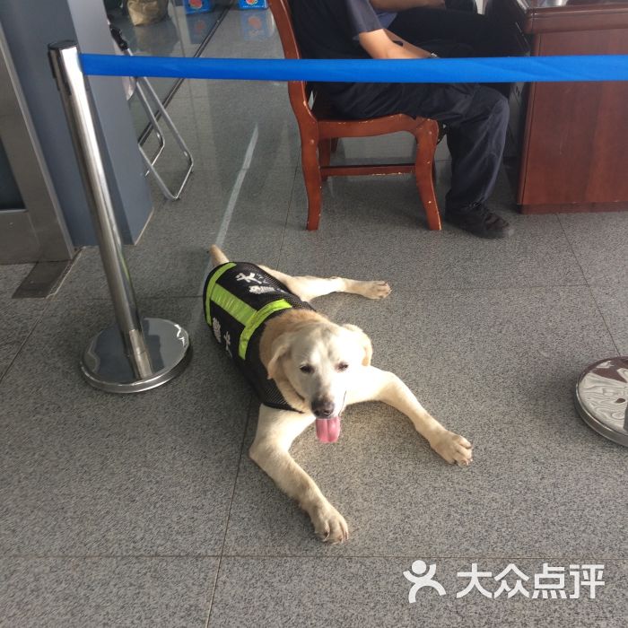 警犬~