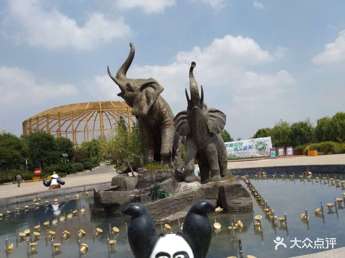 临沂动植物园图片