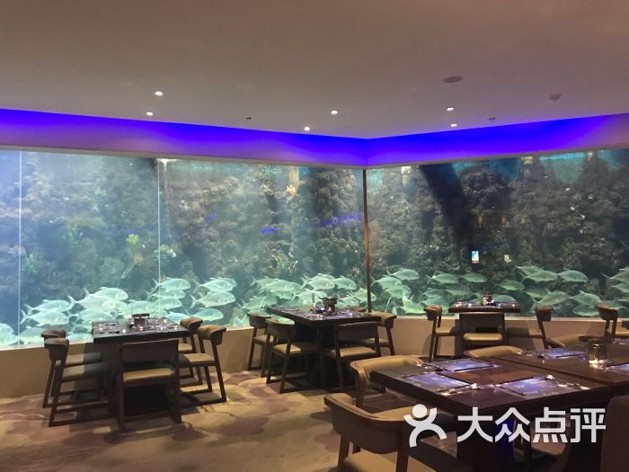 荣誉·梵尔纳美人鱼自助餐厅图片 - 第392张