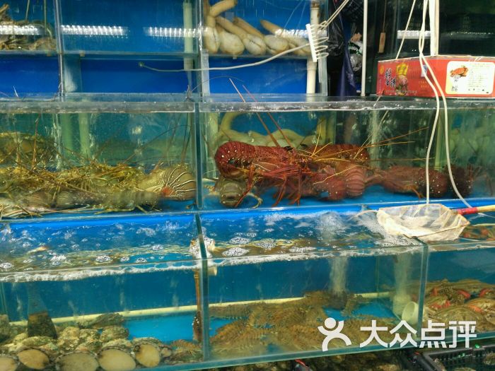 岳各庄批发市场-图片