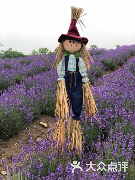 莫斯利安香草园