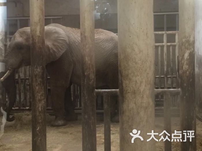 北京动物园图片 - 第1张
