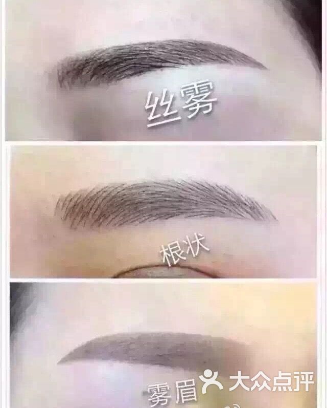 几个眉毛的种类