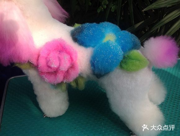爱它宠物医院雕花染色图片