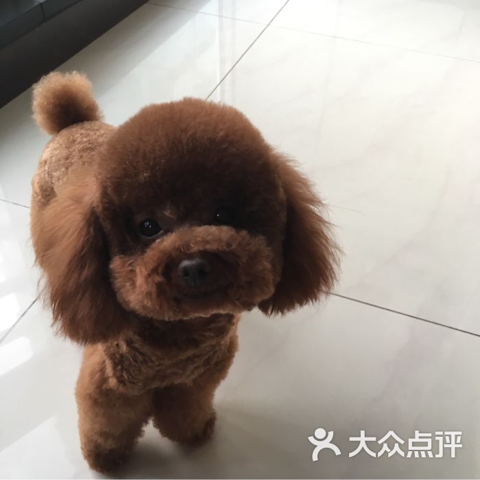 派多格宠物连锁(兴隆街店)-图片-北京宠物-大众