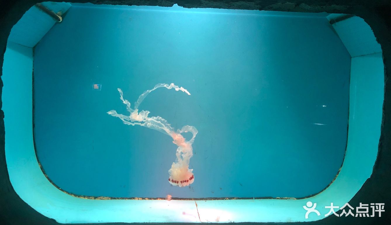 台州椒江海洋馆