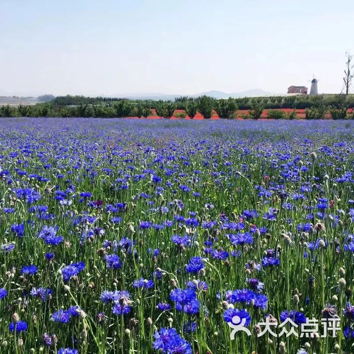 日照花仙子风景区