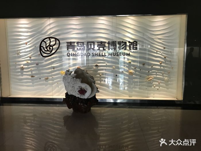 青岛贝壳博物馆图片 - 第160张