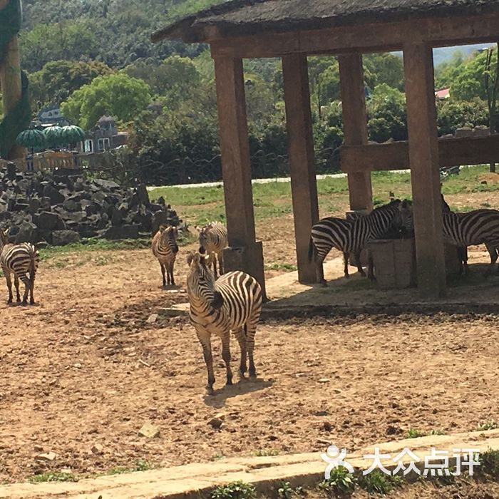 杭州野生动物世界