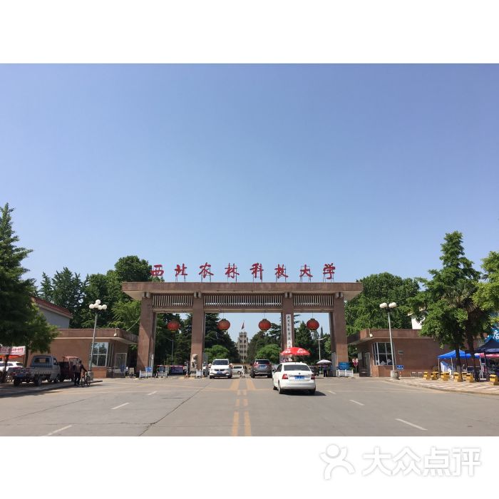 西北农林科技大学(北校区)图片 - 第4张