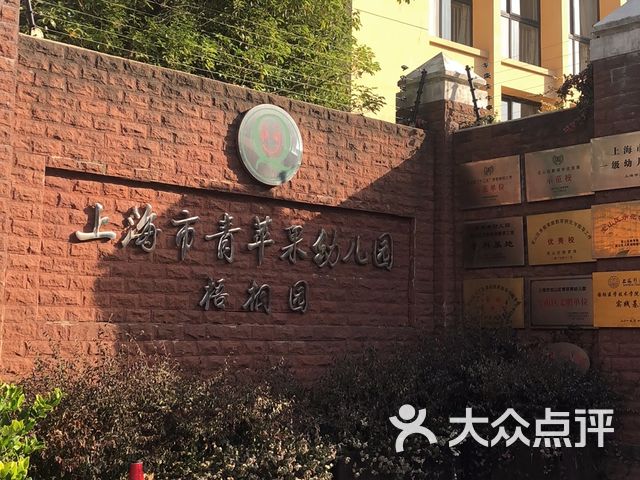青苹果幼儿园梧桐园课程_价格_简介_怎么样-上海学习培训-大众点评网