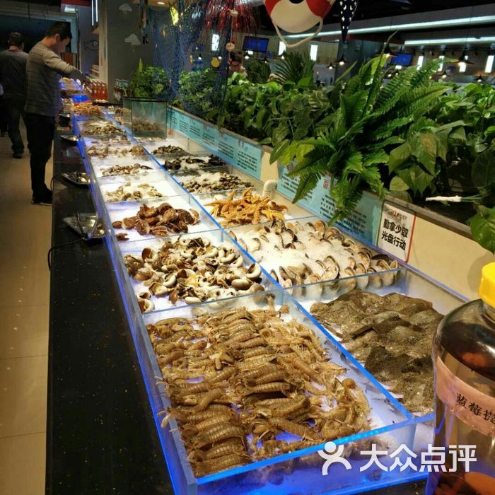 皇家8号海鲜自助餐厅图片-北京自助餐-大众点评网