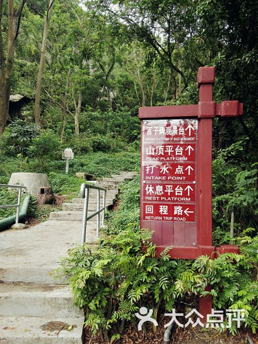 板樟山森林公园图片 - 第2张