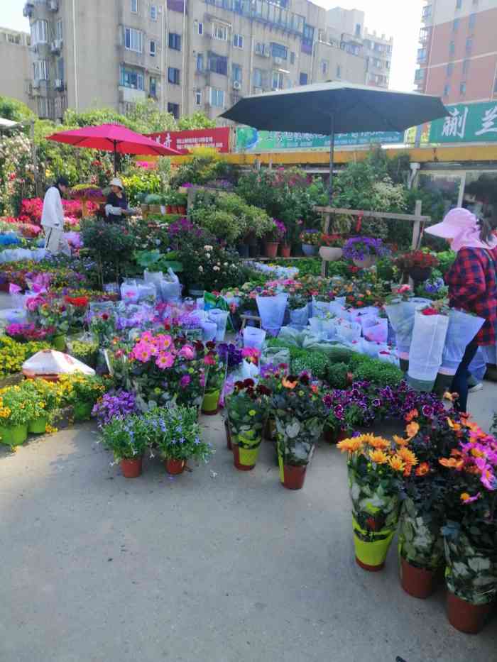 上海虹桥花卉市场(虹井路店)-"花鸟市场越来越少 找到