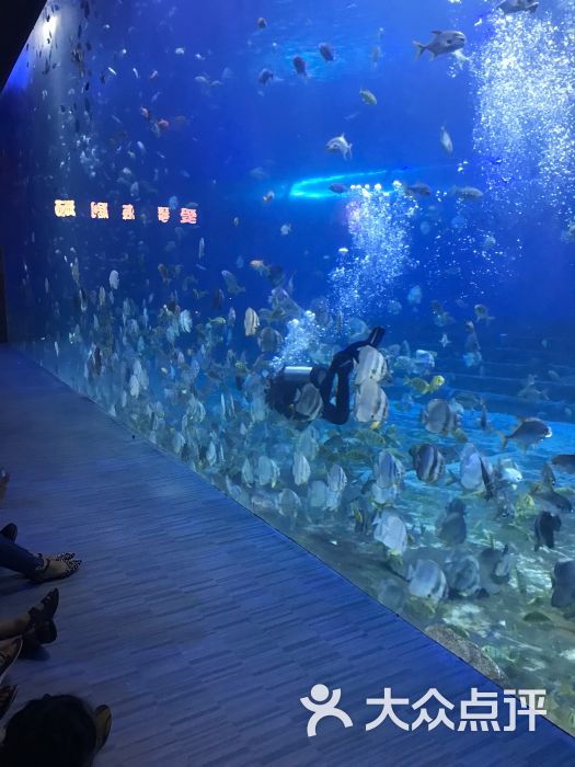 重庆汉海海洋公园图片 - 第2张