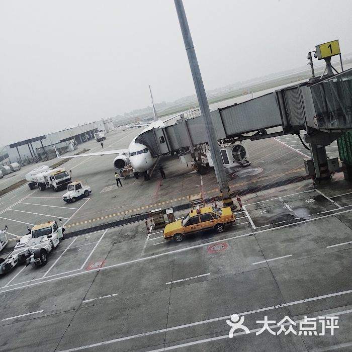 龙湾国际机场图片 第6张