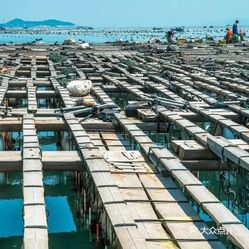 连江安凯GDP_安凯客车(3)