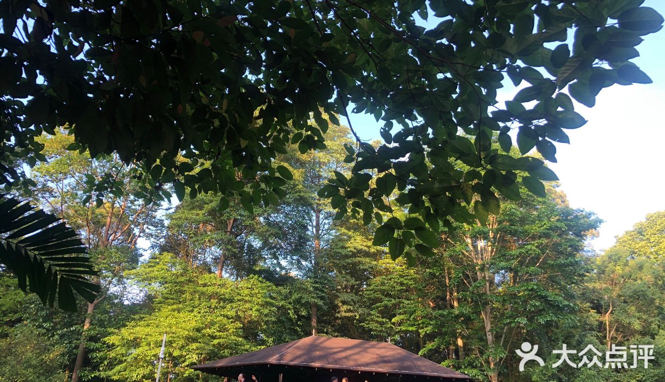 新加坡最高山—武吉知马