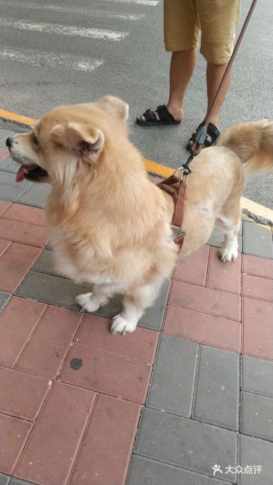 美联众合动物医院(和平分院)