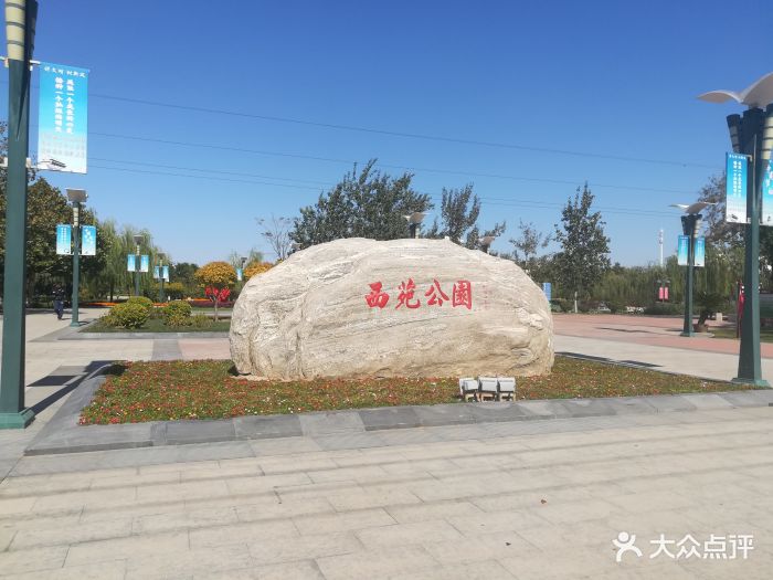 西苑公园图片 - 第1张