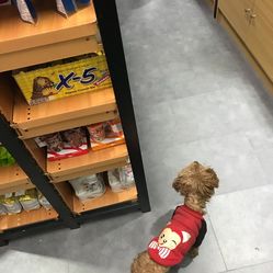 爱士多无人便利商店