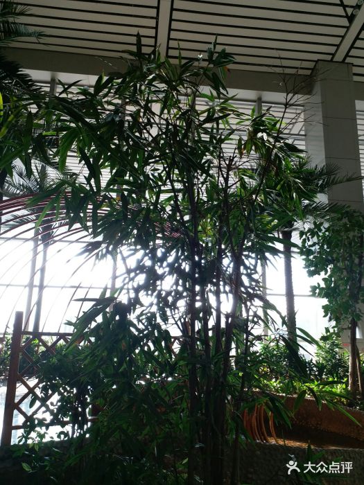 2016年6月7日,贵阳下着暴雨,吃好午饭就退.-