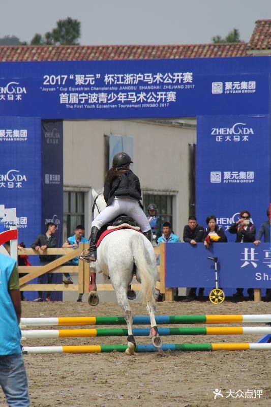 新正大马术俱乐部图片 - 第8张