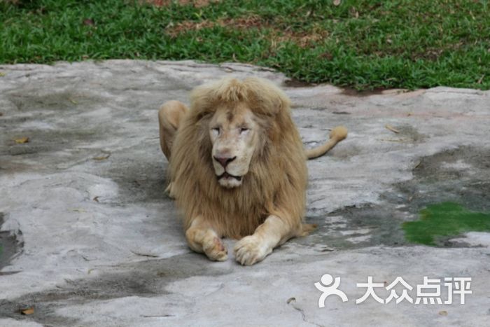 广州动物园图片 - 第37张