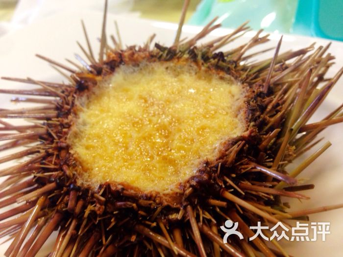 老船长胶东小海鲜_胶东大盆海鲜_胶东小海鲜加盟