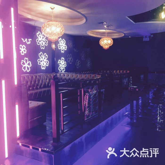 圈子酒吧图片 第220张