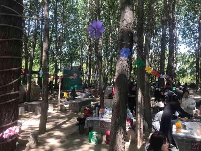 鹊华烟雨森林烧烤区-"过了黄河浮桥不远就是,隔段时间就要和家人.