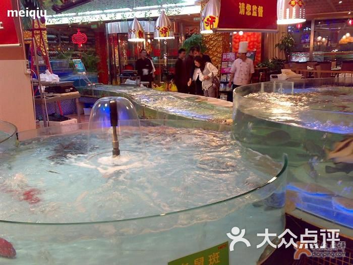 贝类海鲜名字大全图片_海鲜鱼图片以及名字_海鲜酒楼的名字(4)