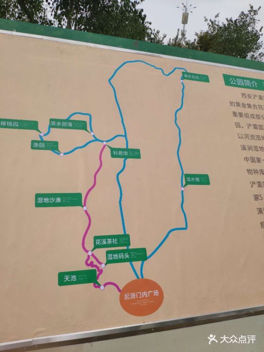 浐灞国家湿地公园图片 - 第12张
