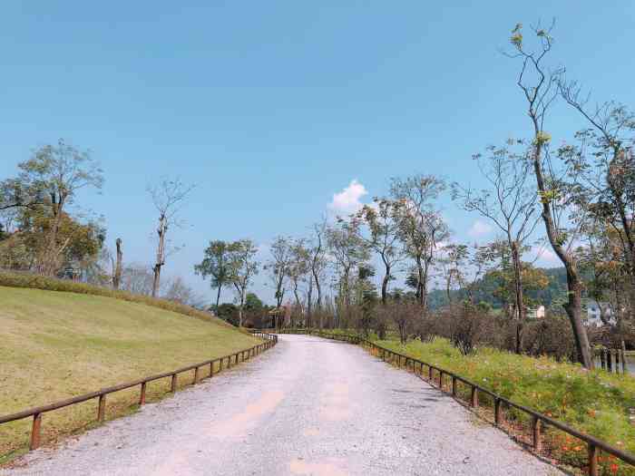 天坪山格桑花-"重庆天坪山风景区是国家aaa级景区,.