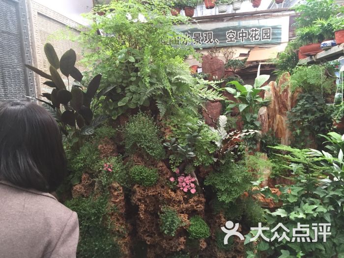 花乡花卉市场-图片