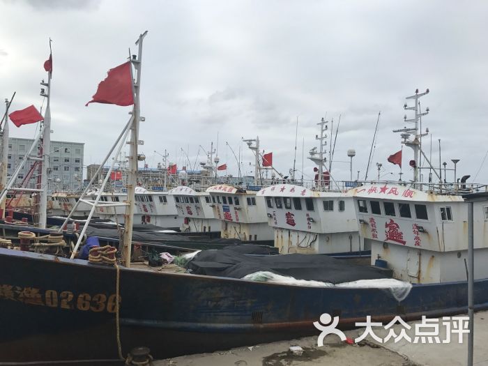 吕四海鲜图片 第8张
